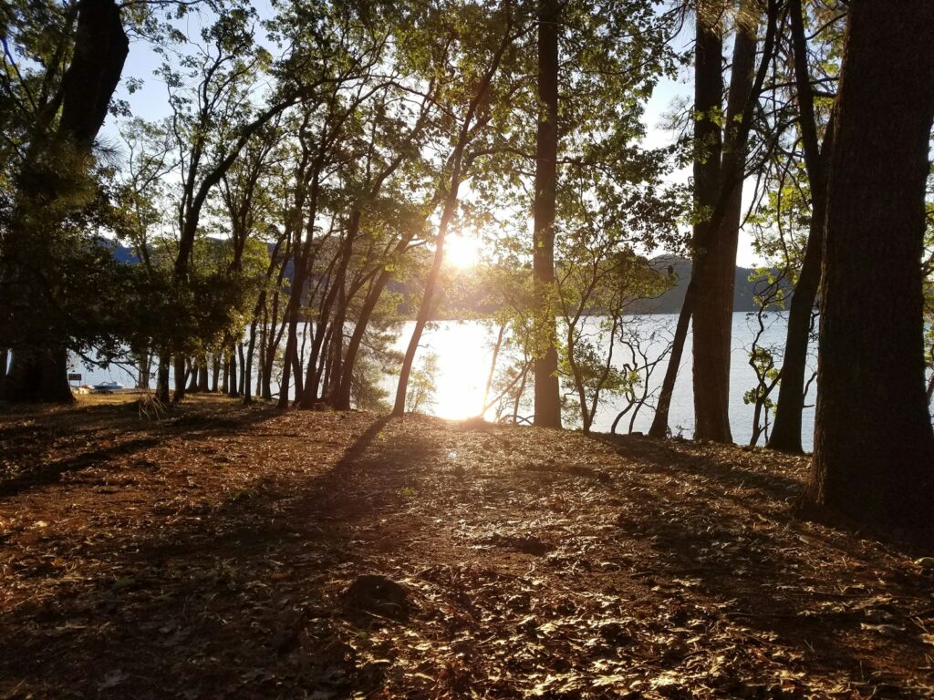a path with trees and a body of water in the background